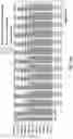 Fig. 34 - Curing for recursive nucleic acid-guided cell editing