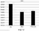 Fig. 36 - Curing for recursive nucleic acid-guided cell editing