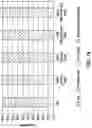 Fig. 38 - Curing for recursive nucleic acid-guided cell editing