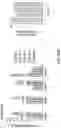Fig. 41 - Curing for recursive nucleic acid-guided cell editing