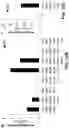 Fig. 17 - PLANTS AND METHODS FOR PRODUCING 2-PYRONE-4, 6-DICARBOXYLIC ACID (PDC)