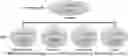 Fig. 01 - DELIVERY OF CRISPR/MCAS9 THROUGH EXTRACELLULAR VESICLES FOR GENOME EDITING