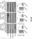 Fig. 06 - DELIVERY OF CRISPR/MCAS9 THROUGH EXTRACELLULAR VESICLES FOR GENOME EDITING