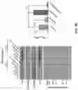 Fig. 09 - DELIVERY OF CRISPR/MCAS9 THROUGH EXTRACELLULAR VESICLES FOR GENOME EDITING