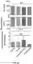 Fig. 14 - DELIVERY OF CRISPR/MCAS9 THROUGH EXTRACELLULAR VESICLES FOR GENOME EDITING