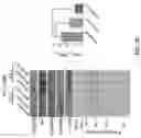 Fig. 22 - DELIVERY OF CRISPR/MCAS9 THROUGH EXTRACELLULAR VESICLES FOR GENOME EDITING