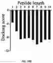 Fig. 33 - DELIVERY OF CRISPR/MCAS9 THROUGH EXTRACELLULAR VESICLES FOR GENOME EDITING