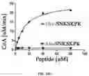 Fig. 34 - DELIVERY OF CRISPR/MCAS9 THROUGH EXTRACELLULAR VESICLES FOR GENOME EDITING