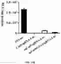 Fig. 42 - DELIVERY OF CRISPR/MCAS9 THROUGH EXTRACELLULAR VESICLES FOR GENOME EDITING