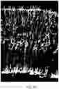 Fig. 12 - Closed-ended linear duplex DNA for non-viral gene transfer