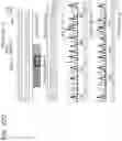 Fig. 19 - Closed-ended linear duplex DNA for non-viral gene transfer