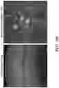 Fig. 13 - INTERNEURON-SPECIFIC THERAPEUTICS FOR NORMALIZING NEURONAL CELL EXCITABILITY AND TREATING DRAVET SYNDROME