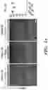 Fig. 43 - INTERNEURON-SPECIFIC THERAPEUTICS FOR NORMALIZING NEURONAL CELL EXCITABILITY AND TREATING DRAVET SYNDROME