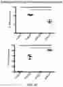 Fig. 11 - ENGINEERED ADENO-ASSOCIATED (AAV) VECTORS FOR TRANSGENE EXPRESSION
