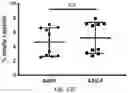 Fig. 27 - ENGINEERED ADENO-ASSOCIATED (AAV) VECTORS FOR TRANSGENE EXPRESSION