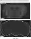 Fig. 29 - ENGINEERED ADENO-ASSOCIATED (AAV) VECTORS FOR TRANSGENE EXPRESSION