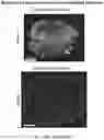 Fig. 30 - ENGINEERED ADENO-ASSOCIATED (AAV) VECTORS FOR TRANSGENE EXPRESSION