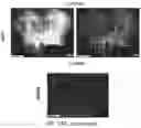 Fig. 31 - ENGINEERED ADENO-ASSOCIATED (AAV) VECTORS FOR TRANSGENE EXPRESSION