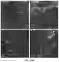 Fig. 32 - ENGINEERED ADENO-ASSOCIATED (AAV) VECTORS FOR TRANSGENE EXPRESSION