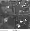 Fig. 34 - ENGINEERED ADENO-ASSOCIATED (AAV) VECTORS FOR TRANSGENE EXPRESSION