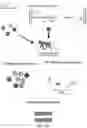 Fig. 40 - ENGINEERED ADENO-ASSOCIATED (AAV) VECTORS FOR TRANSGENE EXPRESSION