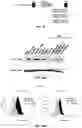 Fig. 13 - RETROVIRAL VECTOR HAVING IMMUNE-STIMULATING ACTIVITY