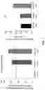 Fig. 02 - METHODS AND COMPOSITIONS FOR TRANSGENE EXPRESSION