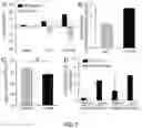 Fig. 04 - METHODS AND COMPOSITIONS FOR TRANSGENE EXPRESSION