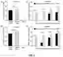 Fig. 07 - METHODS AND COMPOSITIONS FOR TRANSGENE EXPRESSION