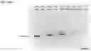 Fig. 62 - FULLY-HUMAN POST-TRANSLATIONALLY MODIFIED ANTIBODY THERAPEUTICS
