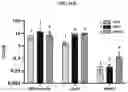Fig. 77 - FULLY-HUMAN POST-TRANSLATIONALLY MODIFIED ANTIBODY THERAPEUTICS