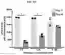 Fig. 84 - FULLY-HUMAN POST-TRANSLATIONALLY MODIFIED ANTIBODY THERAPEUTICS