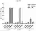 Fig. 91 - FULLY-HUMAN POST-TRANSLATIONALLY MODIFIED ANTIBODY THERAPEUTICS
