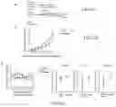 Fig. 08 - Replicative oncolytic adenovirus for regulating lipid metabolism and use thereof