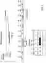 Fig. 03 - Nucleic acid-guided nucleases