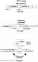 Fig. 06 - Nucleic acid-guided nucleases