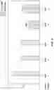 Fig. 10 - Nucleic acid-guided nucleases