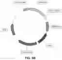 Fig. 07 - BIOSYNTHESIS OF CANNABINOIDS AND CANNABINOID PRECURSORS
