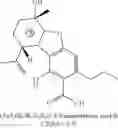 Fig. 113 - BIOSYNTHESIS OF CANNABINOIDS AND CANNABINOID PRECURSORS