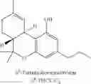 Fig. 61 - BIOSYNTHESIS OF CANNABINOIDS AND CANNABINOID PRECURSORS