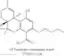 Fig. 65 - BIOSYNTHESIS OF CANNABINOIDS AND CANNABINOID PRECURSORS