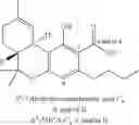 Fig. 66 - BIOSYNTHESIS OF CANNABINOIDS AND CANNABINOID PRECURSORS