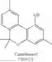 Fig. 93 - BIOSYNTHESIS OF CANNABINOIDS AND CANNABINOID PRECURSORS