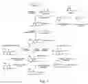 Fig. 02 - Genes and proteins for aromatic polyketide synthesis