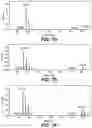 Fig. 12 - METABOLIC ENGINEERING OF NON-PATHOGENIC ESCHERICHIA COLI STRAINS FOR THE CONTROLLED PRODUCTION OF LOW MOLECULAR WEIGHT HEPAROSAN AND SIZE-SPECIFIC HEPAROSAN OLIGOSACCHARIDES