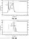 Fig. 14 - METABOLIC ENGINEERING OF NON-PATHOGENIC ESCHERICHIA COLI STRAINS FOR THE CONTROLLED PRODUCTION OF LOW MOLECULAR WEIGHT HEPAROSAN AND SIZE-SPECIFIC HEPAROSAN OLIGOSACCHARIDES
