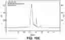 Fig. 17 - METABOLIC ENGINEERING OF NON-PATHOGENIC ESCHERICHIA COLI STRAINS FOR THE CONTROLLED PRODUCTION OF LOW MOLECULAR WEIGHT HEPAROSAN AND SIZE-SPECIFIC HEPAROSAN OLIGOSACCHARIDES