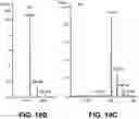 Fig. 31 - METABOLIC ENGINEERING OF NON-PATHOGENIC ESCHERICHIA COLI STRAINS FOR THE CONTROLLED PRODUCTION OF LOW MOLECULAR WEIGHT HEPAROSAN AND SIZE-SPECIFIC HEPAROSAN OLIGOSACCHARIDES