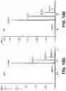 Fig. 32 - METABOLIC ENGINEERING OF NON-PATHOGENIC ESCHERICHIA COLI STRAINS FOR THE CONTROLLED PRODUCTION OF LOW MOLECULAR WEIGHT HEPAROSAN AND SIZE-SPECIFIC HEPAROSAN OLIGOSACCHARIDES