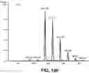 Fig. 33 - METABOLIC ENGINEERING OF NON-PATHOGENIC ESCHERICHIA COLI STRAINS FOR THE CONTROLLED PRODUCTION OF LOW MOLECULAR WEIGHT HEPAROSAN AND SIZE-SPECIFIC HEPAROSAN OLIGOSACCHARIDES
